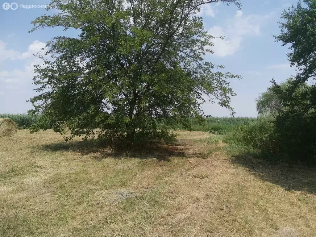 Дом в Незамаевская, Коммунистическая улица, 3 (64 м) - Фото 0