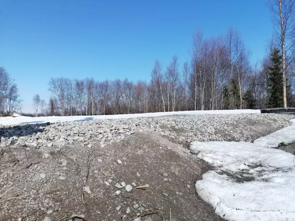 Участок в Мурманская область, Кольский район, Молочный городское ... - Фото 2