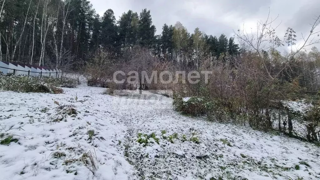 Участок в Алтайский край, Белокуриха Алтайская ул., 53 (15.0 сот.) - Фото 1