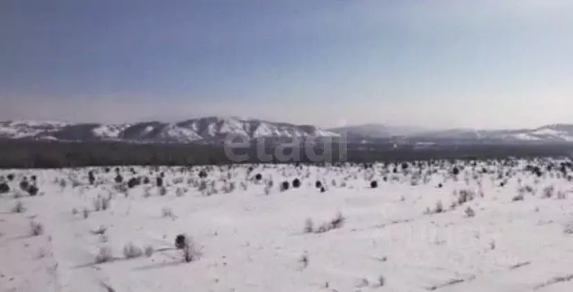 Участок в Алтайский край, Алтайский район, Айский сельсовет, ... - Фото 2