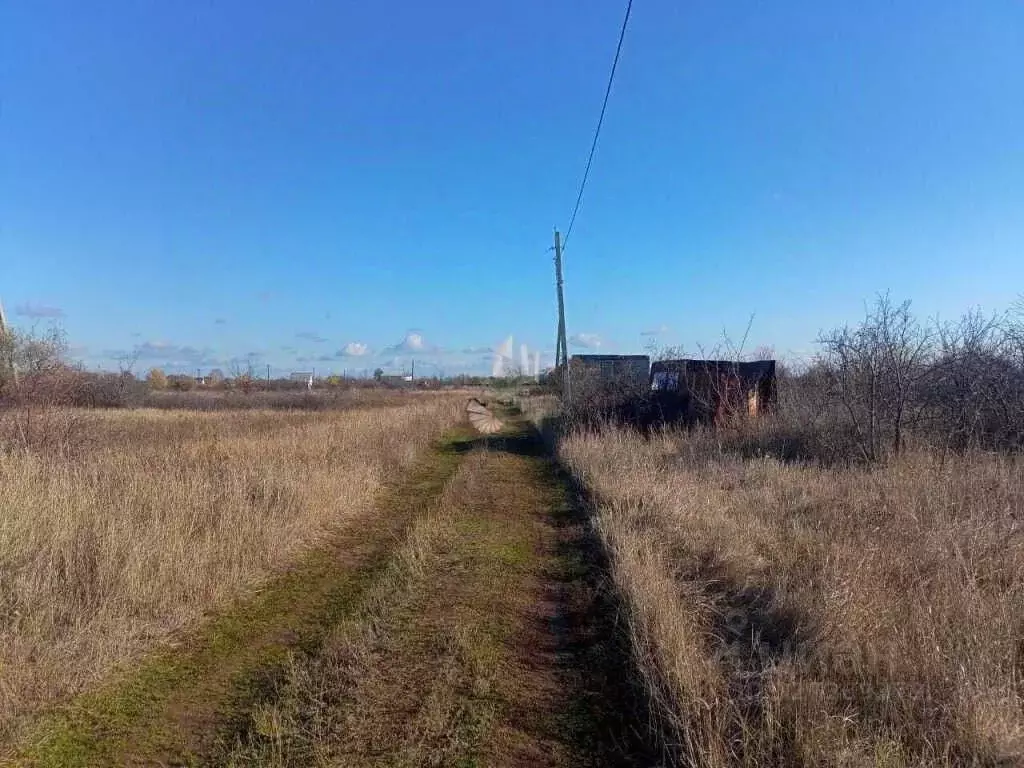 Участок в Саратовская область, Энгельсский район, Терновское ... - Фото 2