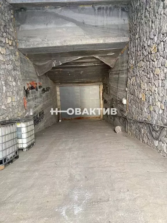 Помещение свободного назначения в Новосибирская область, Искитимский ... - Фото 0
