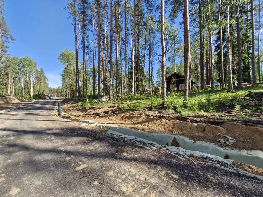 Участок в Ленинградская область, Всеволожский район, Куйвозовское ... - Фото 0