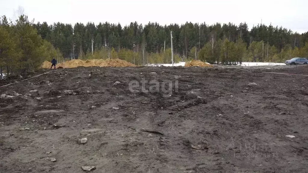 Участок в Свердловская область, Екатеринбург Новый Свет СНТ,  (9.8 ... - Фото 1