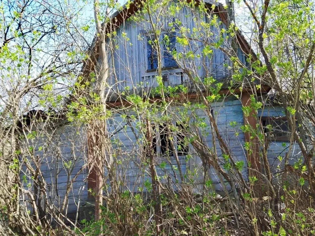 Участок в Нижегородская область, Нижний Новгород Дубрава СНТ, 204 (6.1 ... - Фото 0