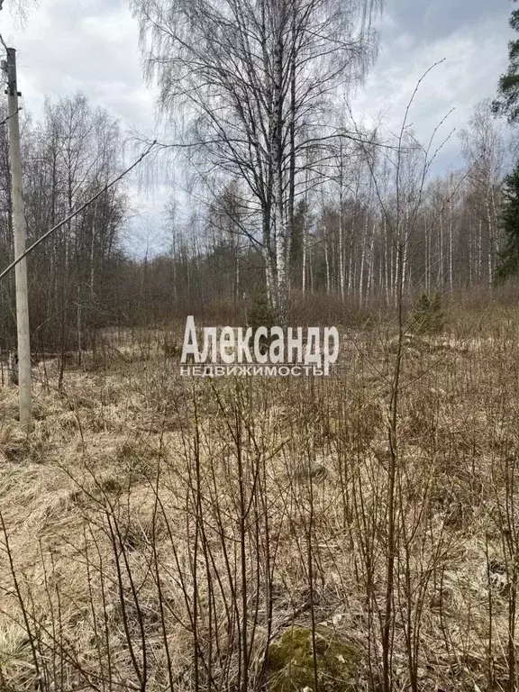 Участок в Ленинградская область, Приозерский район, Плодовское с/пос, ... - Фото 1
