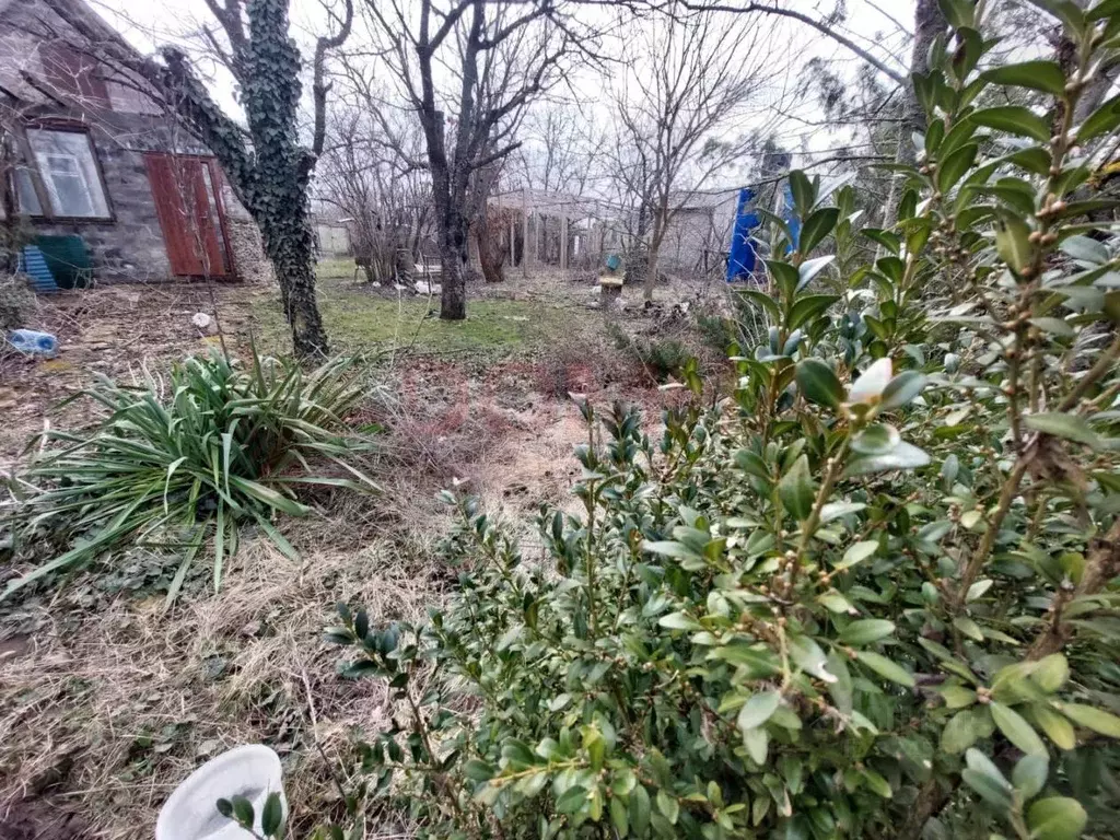 Участок в Ростовская область, Азовский район, Елизаветинское с/пос, ... - Фото 2