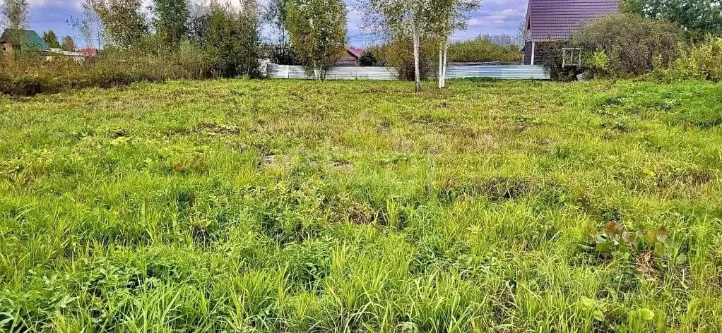 Участок в Новосибирская область, Колыванский район, Вилана садовое ... - Фото 2