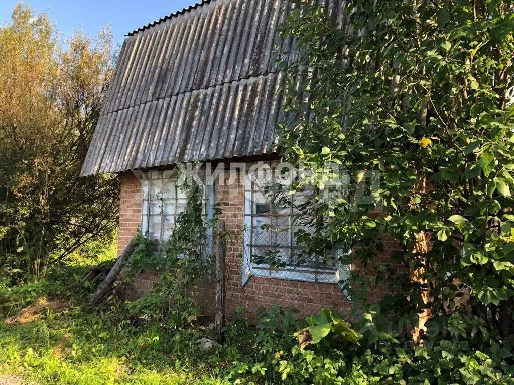 Участок в Новосибирская область, Новосибирск Дельфин СНТ,  (4.71 сот.) - Фото 0