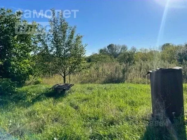 Участок в Белгородская область, Алексеевский городской округ, с. ... - Фото 0