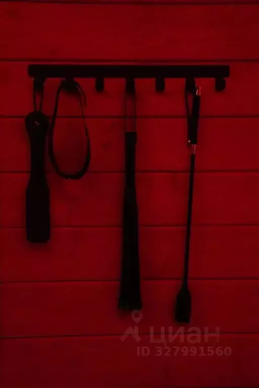 Дом в Московская область, Клин городской округ, Междуречье тер. ул. ... - Фото 2