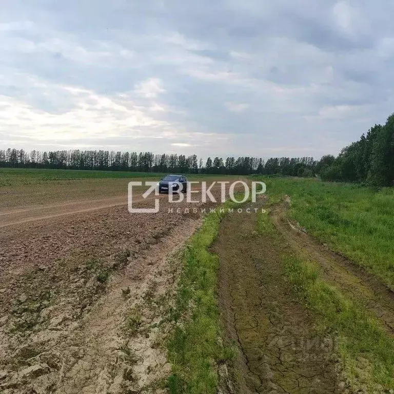 Участок в Ярославская область, Ярославский муниципальный округ, д. ... - Фото 2