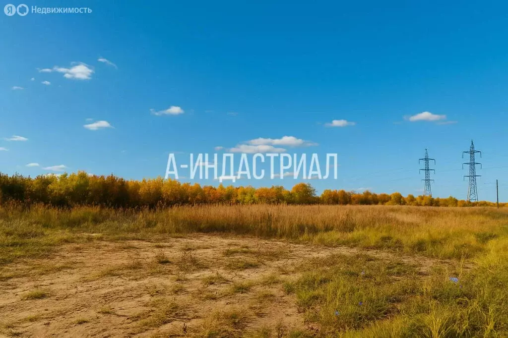 Участок в деревня Кучино, территория Колосок-Овчинки, 72 (2 м) - Фото 2