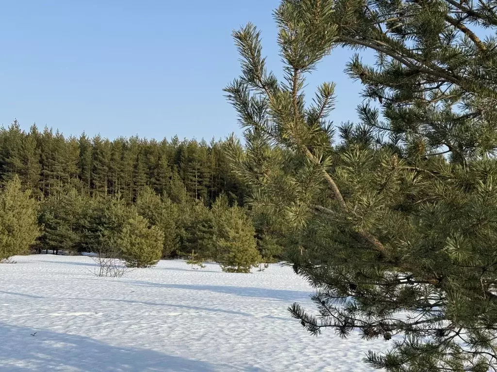 Участок в Владимирская область, Киржачский район, Филипповское ... - Фото 0