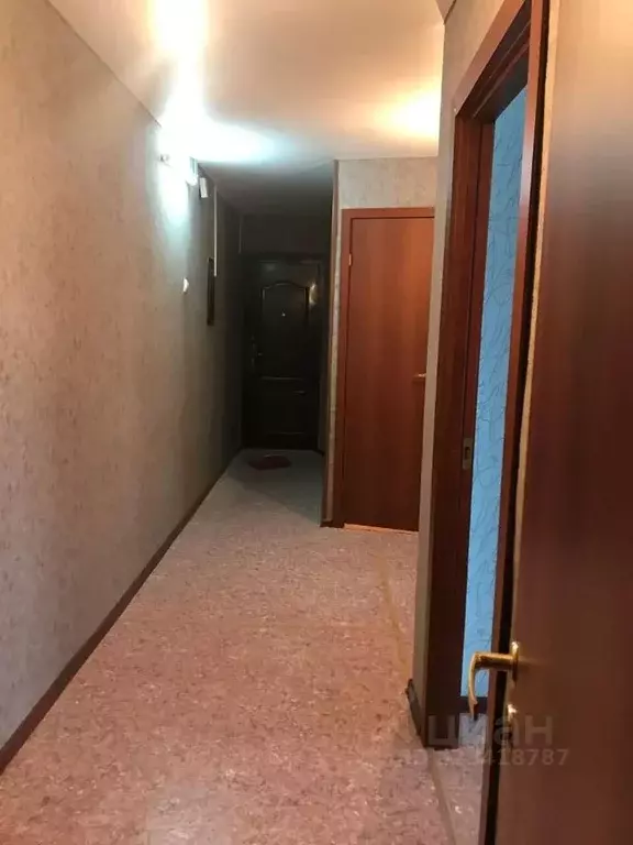 3-к кв. Алтайский край, Барнаул городской округ, пос. Центральный ул. ... - Фото 2