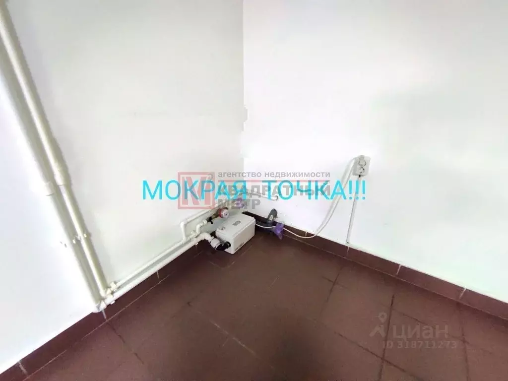 Помещение свободного назначения в Белгородская область, Старый Оскол ... - Фото 0