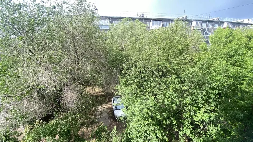 1-к кв. Оренбургская область, Оренбург Народная ул., 4 (30.0 м) - Фото 1