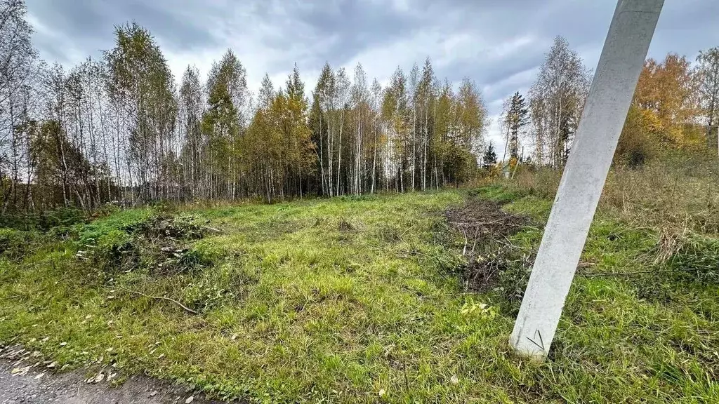 Участок в Томская область, Томск Радуга садовое товарищество, 23 (6.0 ... - Фото 1