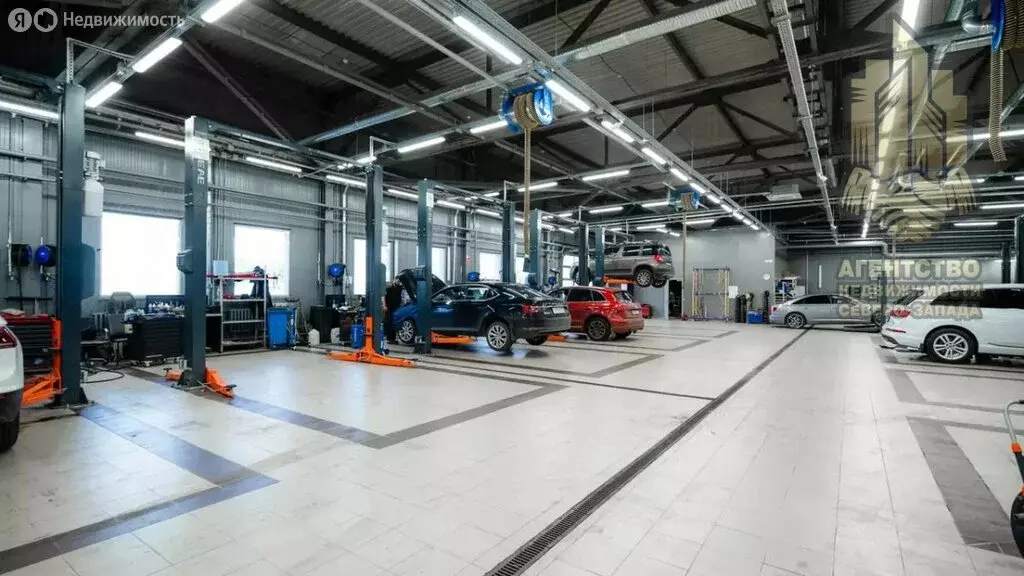 Помещение свободного назначения (1450 м) - Фото 1