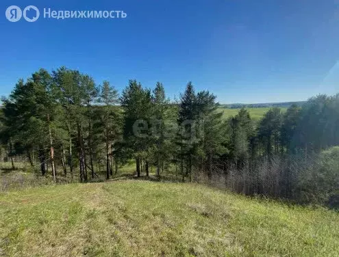 Участок в Пермский муниципальный округ, село Башкултаево (320 м) - Фото 1