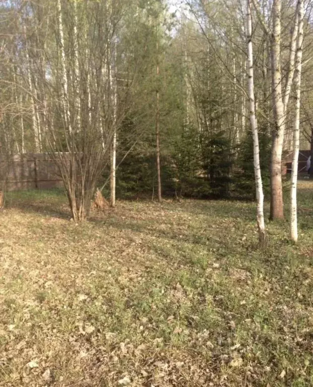 Участок в Московская область, Ступино городской округ, Калинушка СНТ ... - Фото 1