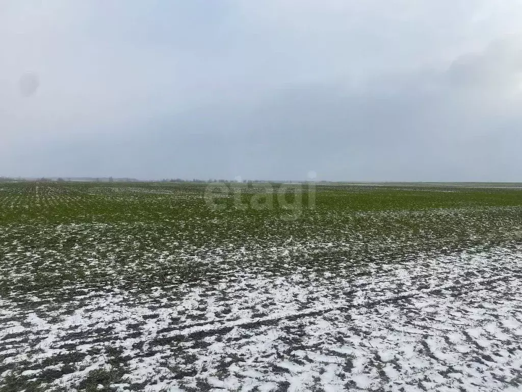 Участок в Брянская область, Брянский район, Новосельское с/пос, д. ... - Фото 2