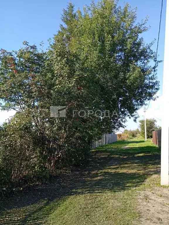 Участок в Новосибирская область, Коченевский район, Озерки-1 СНТ ул. ... - Фото 1