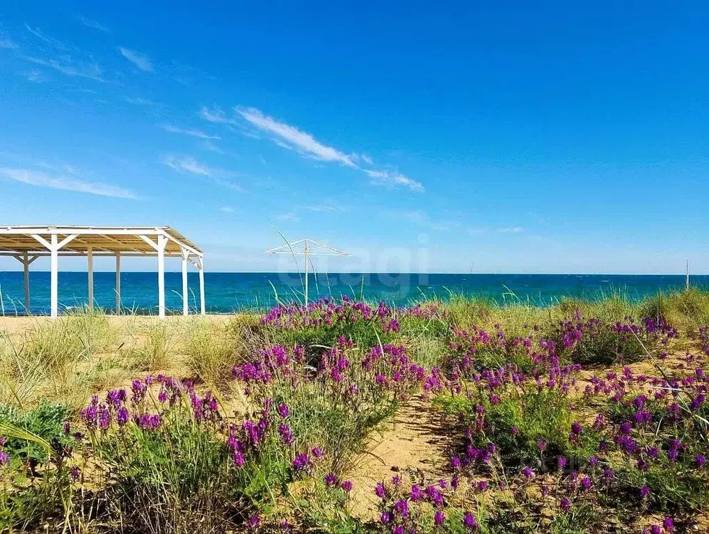 Дом в Крым, Феодосия муниципальный округ, с. Береговое ул. Курская (30 ... - Фото 1