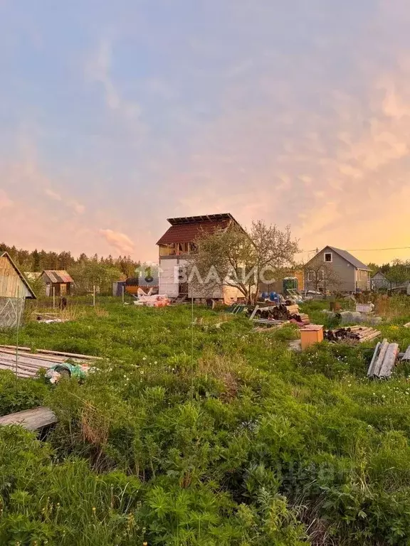Участок в Ленинградская область, Сосновый Бор Приморский СНТ, проезд ... - Фото 0