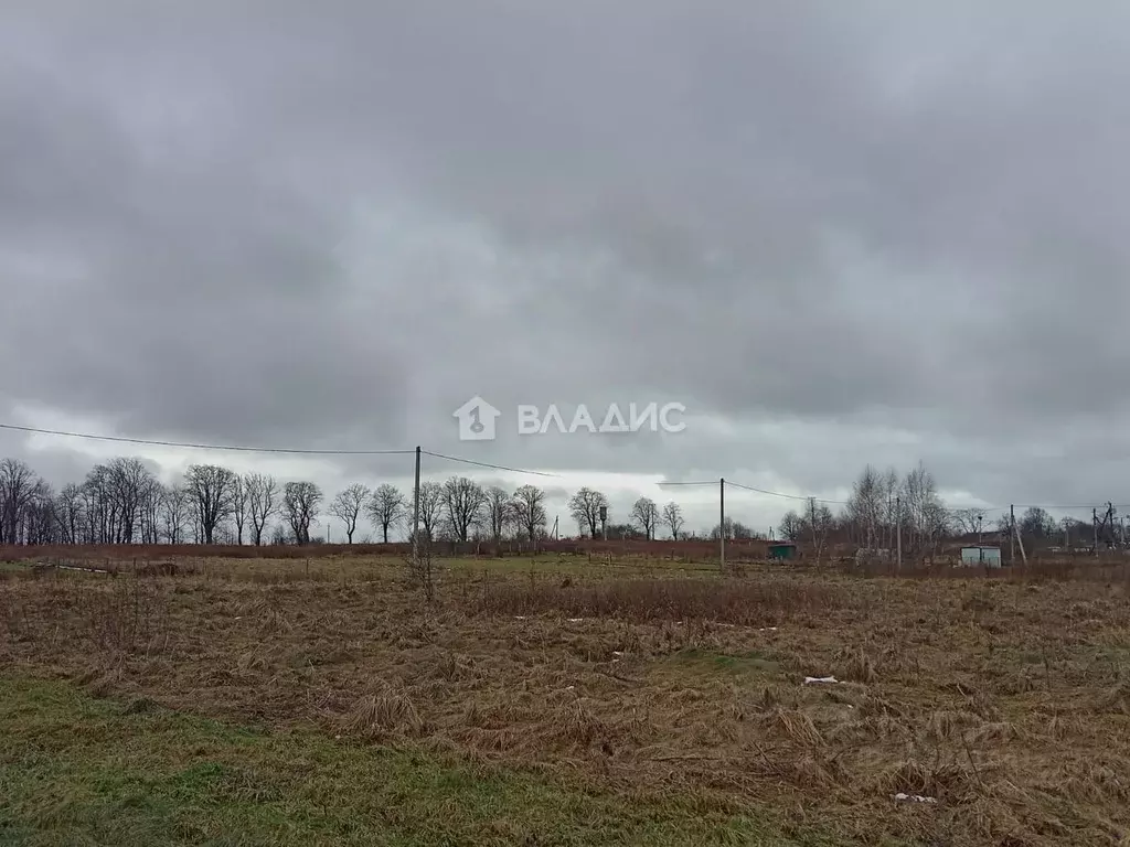 Участок в Калининградская область, Зеленоградский муниципальный округ, ... - Фото 0