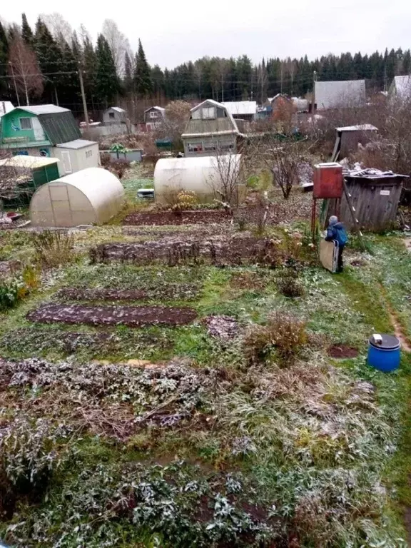 Участок в Кировская область, Кирово-Чепецк № 15 Мелиоратор СДТ,  (5.39 ... - Фото 1