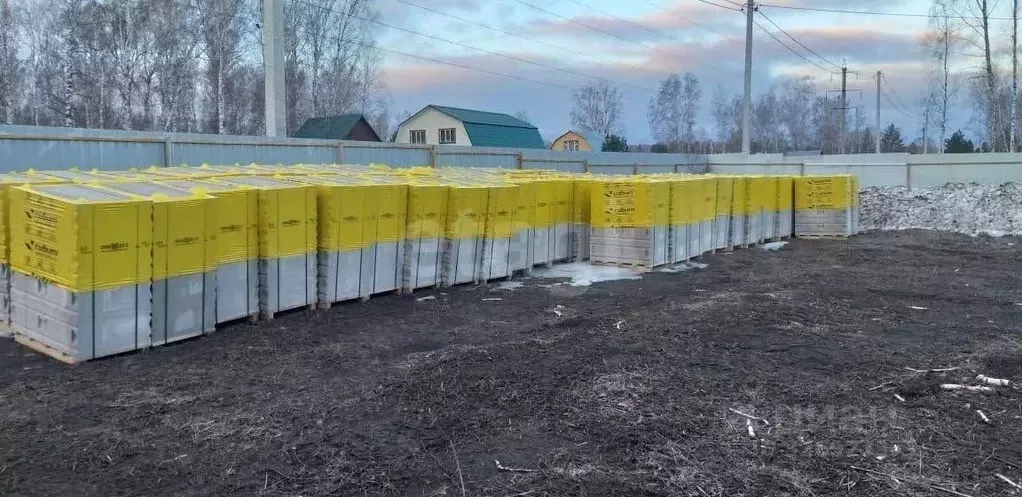 Участок в Новосибирская область, Новосибирский район, Березовский ... - Фото 2