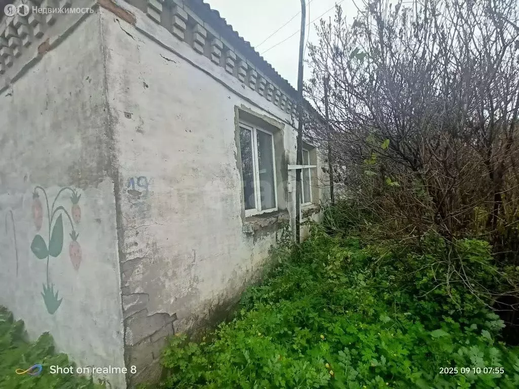 Дом в Курганская область, Варгашинский муниципальный округ, село ... - Фото 1