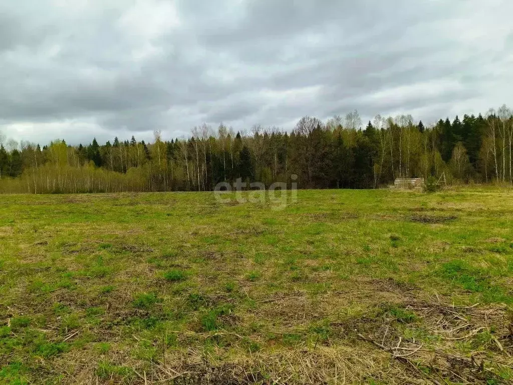 Участок в Калужская область, Боровский муниципальный округ, Кривское ... - Фото 1