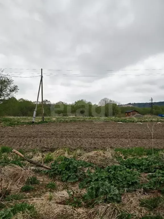 Участок в Сахалинская область, Анивский городской округ, с. Троицкое ... - Фото 2