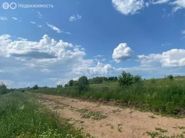 Участок в Вологодская область, Кирилловский муниципальный округ, ... - Фото 1