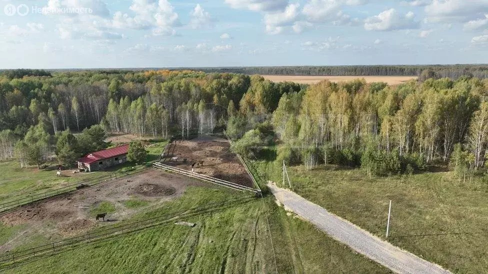 Участок в Нижнетавдинский район, деревня Московка, КП Чехов (8.4 м) - Фото 0