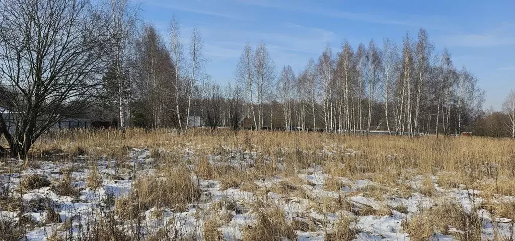 Участок в Московская область, Луховицы ул. Усадебная (24.0 сот.) - Фото 1