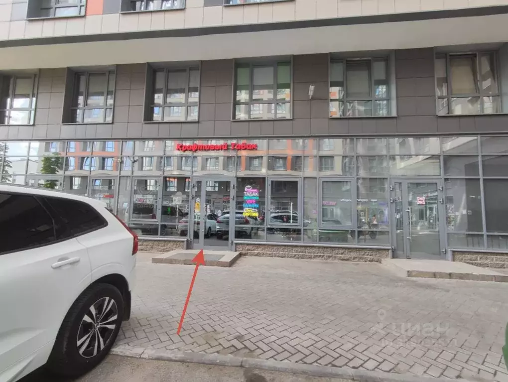 Торговая площадь в Санкт-Петербург пос. Парголово, проезд ... - Фото 2