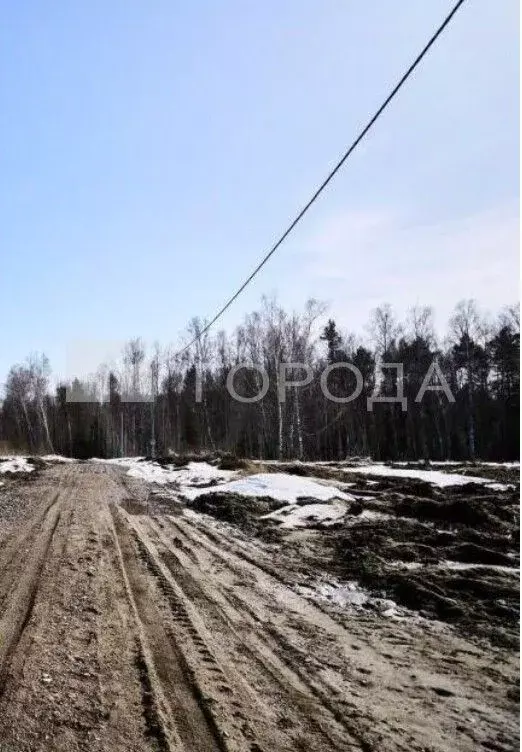 Участок в Томская область, Томский район, Слобода Вольная ДНП, ... - Фото 1