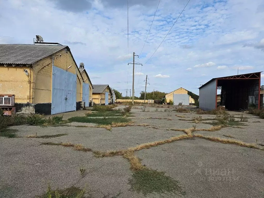 Склад в Краснодарский край, Новокубанск Шоссейная ул., 68/1 (6000 м) - Фото 0