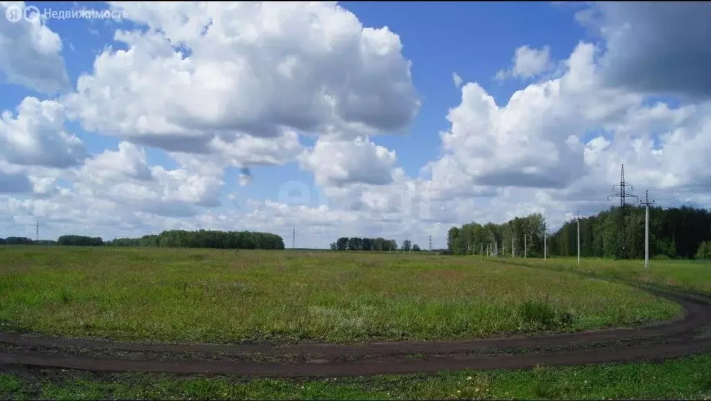 Участок в Пушкинское сельское поселение, посёлок Хвойный, ДНТ ... - Фото 1