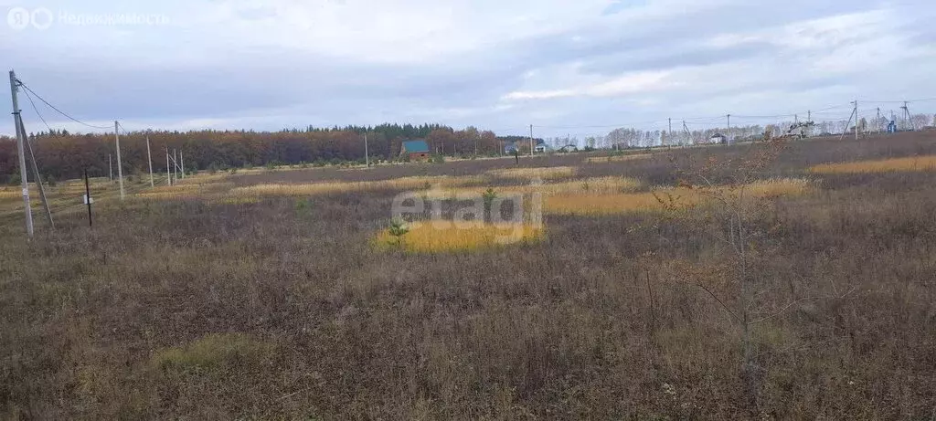 Участок в село Луговое, улица Академика Корнилова (15 м) - Фото 0