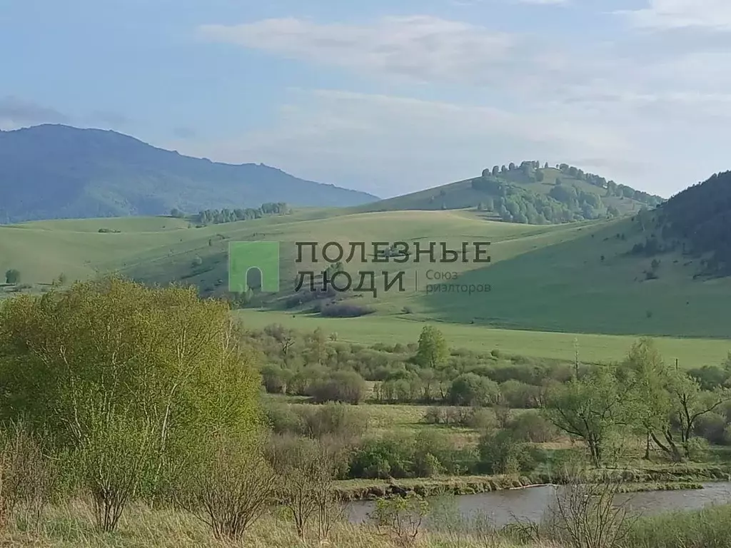 Участок в Алтайский край, Хабарский район, с. Топольное Школьная ул. ... - Фото 0