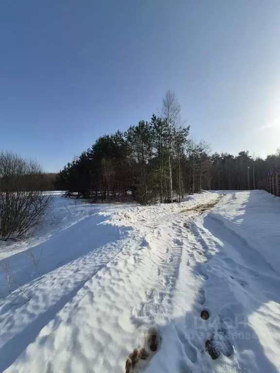 Участок в Тверская область, Калининский муниципальный округ, Порожки ... - Фото 1