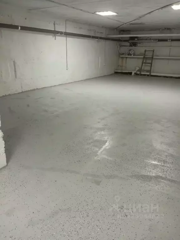 Помещение свободного назначения в Ростовская область, Ростов-на-Дону ... - Фото 1