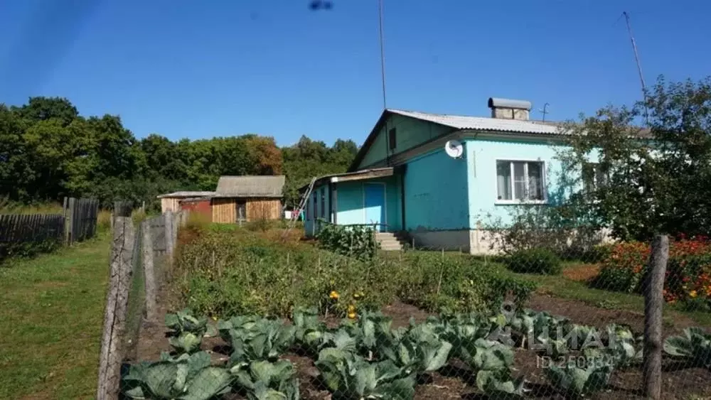 Черенцовка Пензенская Область Село Фотографии