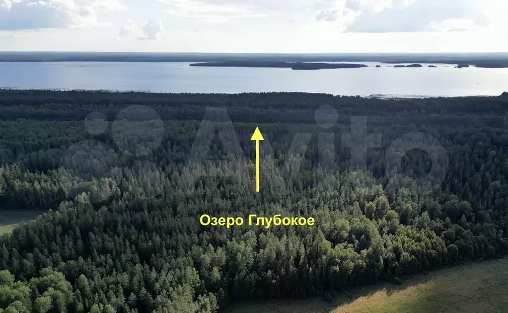 Участок 8 сот. (ИЖС) - Фото 1