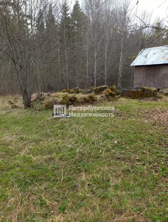 Участок в Карелия, Лахденпохский муниципальный округ, пос. Тиурула ул. ... - Фото 1