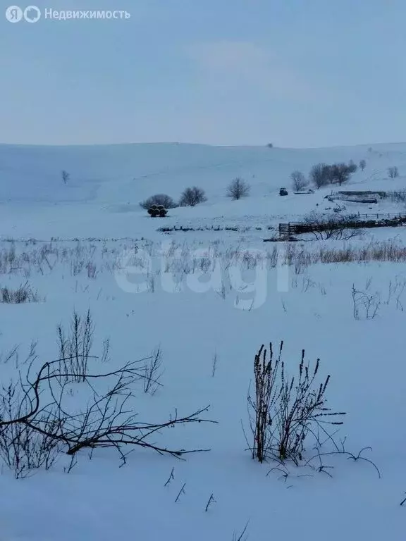 Участок в Майминский район, посёлок Алфёрово (9.8 м) - Фото 1